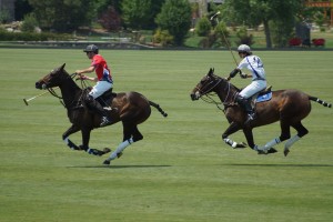 Nation's Largest Charitable Polo Tournament